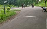 IMG_20250605_110949
